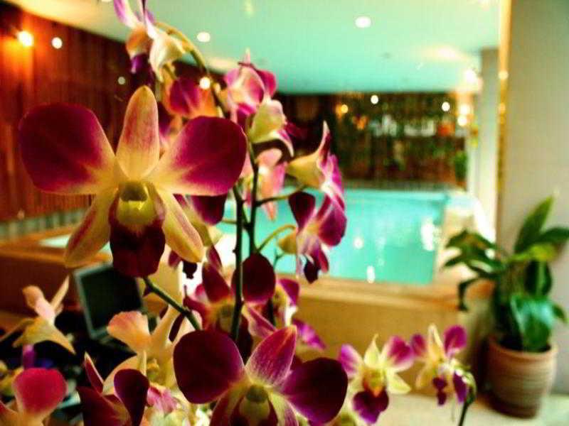 צ'יאנג מאי Thaphae Garden Guesthouse מראה חיצוני תמונה